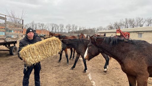 Харківські правоохоронці взяли шефство над покинутими після деокупації тваринами