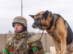 Больше всего нарушителей на блокпостах военные задержали между Чугуевым и Харьковом – НГУ