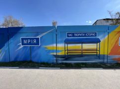 Стрит-арт із сенсом: Харків’янка показала, як перемальовує місто