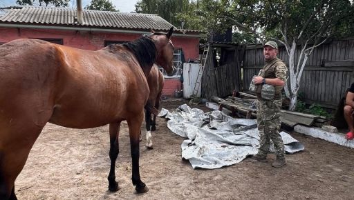 Розбита окупантами ферма: Харківські копи та волонтери привезли коням тонну корму