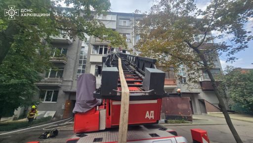 У Харкові з пожежі врятували непритомного літнього чоловіка та кота