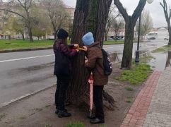В Харькове активисты устанавливают вред обрезанным коммунальщиками деревьям