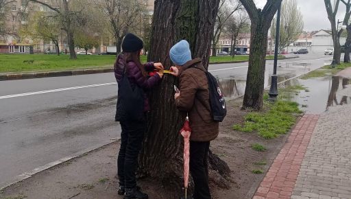 У Харкові активісти встановлюють шкоду деревам, які обрізали комунальники
