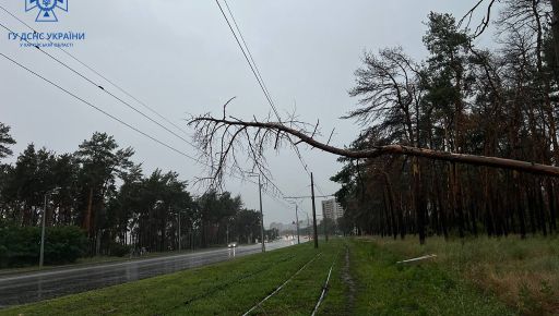 У місті на Харківщині через негоду зникло світло