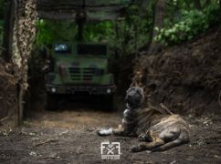 Горячие точки Харьковщины: Генштаб сообщил, где ведутся бои 24 июля