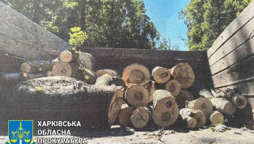 Двое полтавчан подозреваются в организации незаконной порубки харьковских лесов