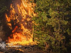 На Харківщині гасять масштабні лісові пожежі: Що відомо