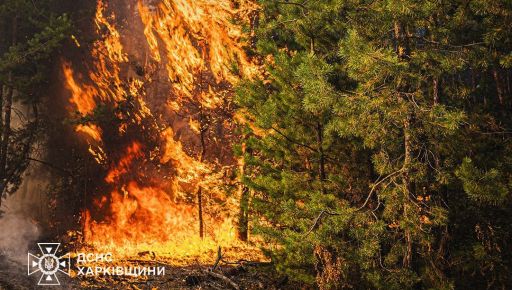 На Харківщині гасять масштабні лісові пожежі: Що відомо