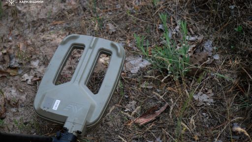 ДСНС показала роботу тернопільських саперів на Харківщині