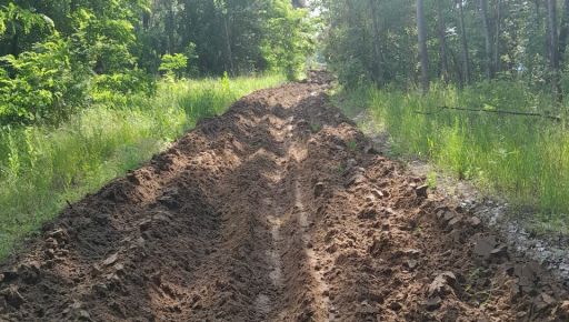 Стало известно, почему в харьковских лесах появились рвы