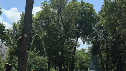 Комунальники зрізали дерева в саду Шевченка в Харкові (ФОТОФАКТ)