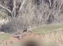 На Харківщині гравітація зупинила російського мотоштурмовика