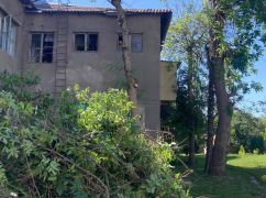 У Харкові комунальники зрізали понад 20 дерев, щоб закрити вибиті вікна