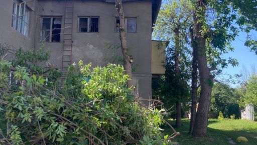 У Харкові комунальники зрізали понад 20 дерев, щоб закрити вибиті вікна