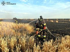 Росіяни вдарили по врожаю: на Харківщині згоріло 60 га пшениці