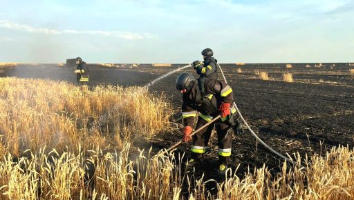 Россияне ударили по урожаю: в Харьковской области сгорело 60 га пшеницы