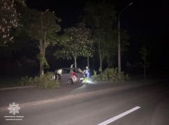 В Харькове пьяный водитель врезался в дерево