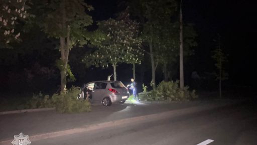 В Харькове пьяный водитель врезался в дерево