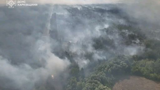 Росіяни навмисно обстрілюють ліси Харківщини, щоб детонували міни — Синєгубов