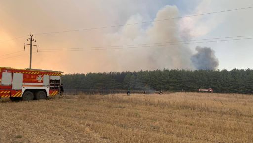 На Харківщині горять п'ять лісів: Площа – понад 70 га