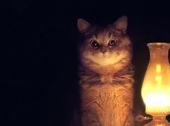 В Балаклее и Волоховом Яру проводят ремонты: часть жителей без электричества