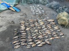На Харьковщине браконьер наловил рыбы почти на 350 тыс. грн