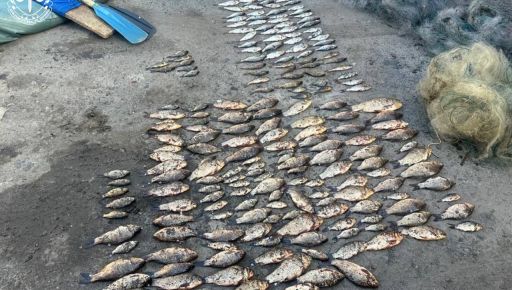 На Харківщині браконьєр наловив риби на майже 350 тис. грн