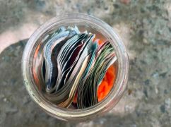 На Харківщині ремонтник обікрав 75-річного роботодавця на тисячі доларів