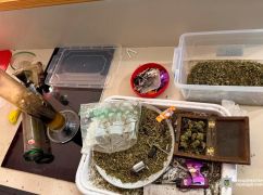 Кокаин, каннабис и MDMA по почте: в Харьковской области будут судить группу наркоторговцев