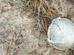 ДСНС показало, як виглядають вибухові "м’ячики" на Харківщині