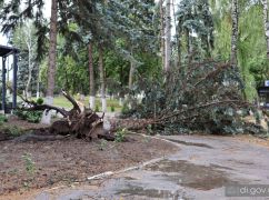 Ураган оставил часть Харьковщины без света и интернета: что известно