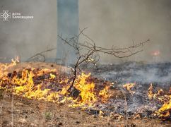 Лісова пожежа під Харковом: Синєгубов заявив про можливі вибухи та назвав причини