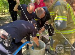В Валках Харьковской области 4-летний мальчик упал в колодец: что известно