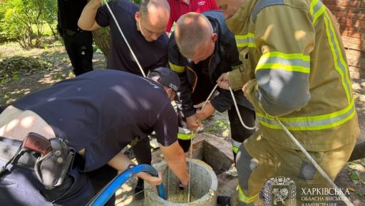 На Харківщині 4-річний хлопчик впав у колодязь: що відомо