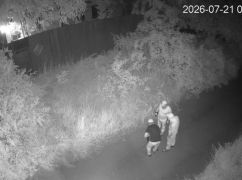 На Харківщині під час пограбування будинку отруїли двох лабрадорів &ndash; соцмережі