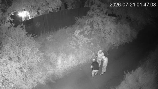На Харьковщине во время ограбления дома отравили двух лабрадоров &ndash; соцсети