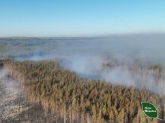 В Харьковской области остановили большой лесной пожар: кадры с воздуха