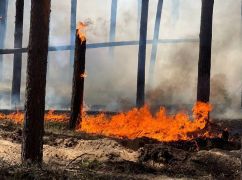 На выходных вблизи фронта потушили три лесных пожара: что известно