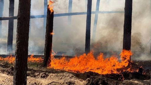 На вихідних поблизу фронту загасили три лісові пожежі: що відомо
