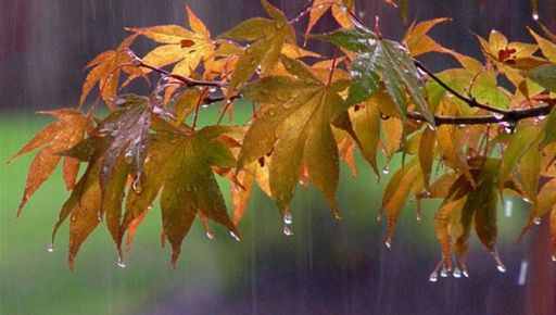 У Харкові дощитиме: Прогноз погоди на 20 жовтня