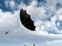 Синоптики попереджають про заморозки та сильний вітер на Харківщині