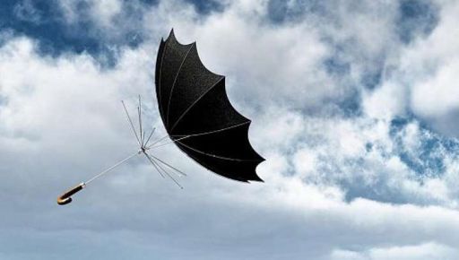 Синоптики предупреждают о заморозках и сильном ветре на Харьковщине