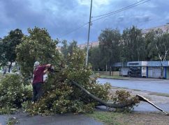 В Харькове ликвидируют последствия урагана: упало более 30 деревьев