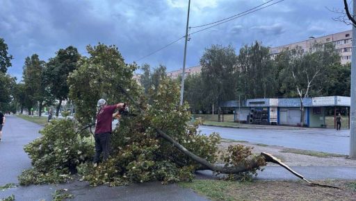 У Харкові ліквідовують наслідки буревію: впало понад 30 дерев