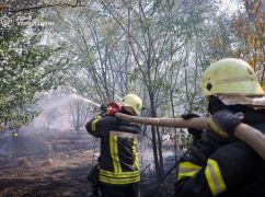 В Харьковской области горит почти 100 га леса