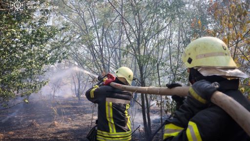 В Харьковской области горит почти 100 га леса
