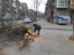 Негода у Харкові: зафіксували майже 30 повалених дерев та гілок