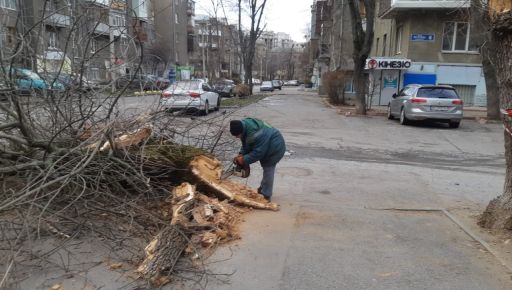 Ненастье в Харькове: зафиксировали почти 30 поваленных деревьев и веток