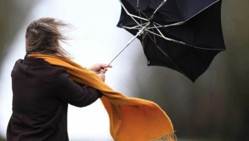 Буревій знеструмив райони та зупинив метро: що відомо про наслідки на Харківщині