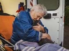 В Харькове на пожаре реанимировали кота